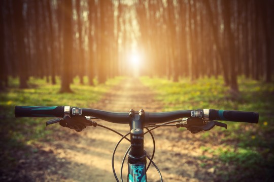 世界のヘンテコ自転車!